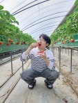 주성농장