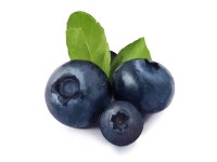 핌아트스튜디오 미술학원