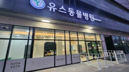 유스동물병원
