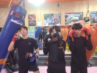 강철복싱