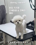 댕모먼트