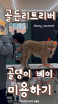댕모먼트