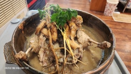 천생산오리사냥