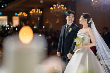 위드안 & 위드마이펫