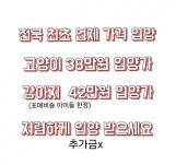 의정부강아지분양 고양이분양 마이펫브로 의정부점