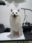 댕모먼트