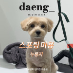 댕모먼트