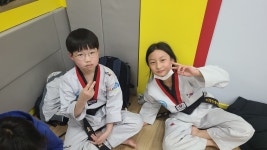 브레인박사태권도