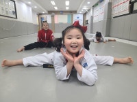 브레인박사태권도