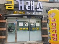 골드파니