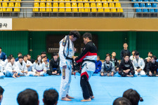 본주짓수 제천 하소점