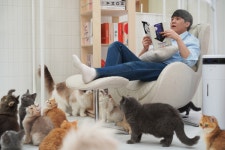 캣플코지눅 대전은행점