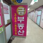 금부동산공인중개사사무소