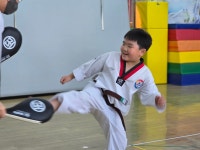 전진태권도