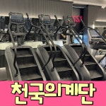 인싸짐 석수점 헬스 PT