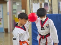 전진태권도