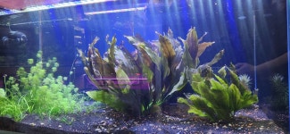 남창애견&수족관