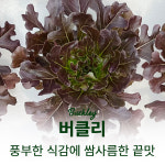 농업회사법인색치원주식회사 | 농업회사법인고그린