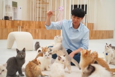 캣플코지눅 대전은행점