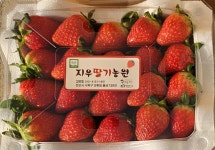 지우딸기농원