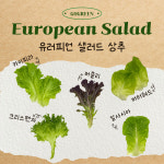 농업회사법인색치원주식회사 | 농업회사법인고그린
