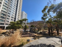 자이단지내리치모어부동산중개사무소