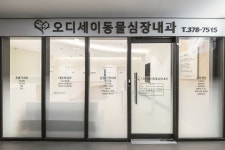 오디세이동물심장내과