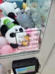 먼뽑귀