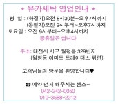 유카세탁