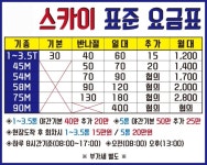 대전스카이차