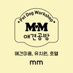 MM애견공방