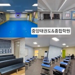 중앙태권도
