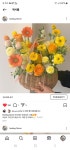 힐링플라워