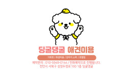 딩굴댕굴 애견미용 천안점
