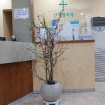 신정형외과의원