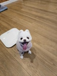 몽스토리