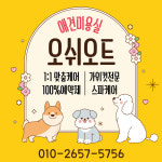 오쉬오트