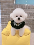 댕욕탕