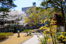유성요양병원