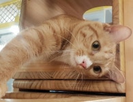 아이조아요양보호소 하남점