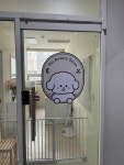 폴인퍼피