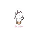 디벨러브