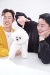 대구강아지분양 홍스퍼피