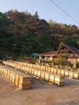 선진양봉원