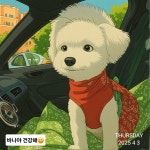 멍기사