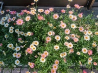 이화공인중개사사무소