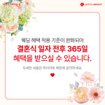 롯데하이마트 테크노밸리점