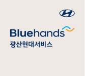블루핸즈 광산현대서비스