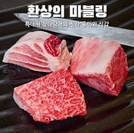 노승문참치 인천송도유원지점