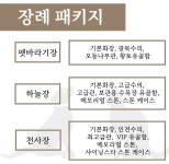 펫바라기